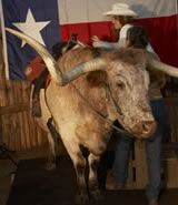 The Ranch